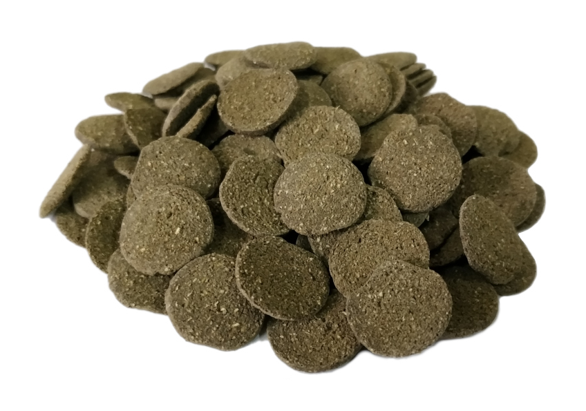 Pokarm wafelki Algen Wafers wafelki ze spiruliną 100g